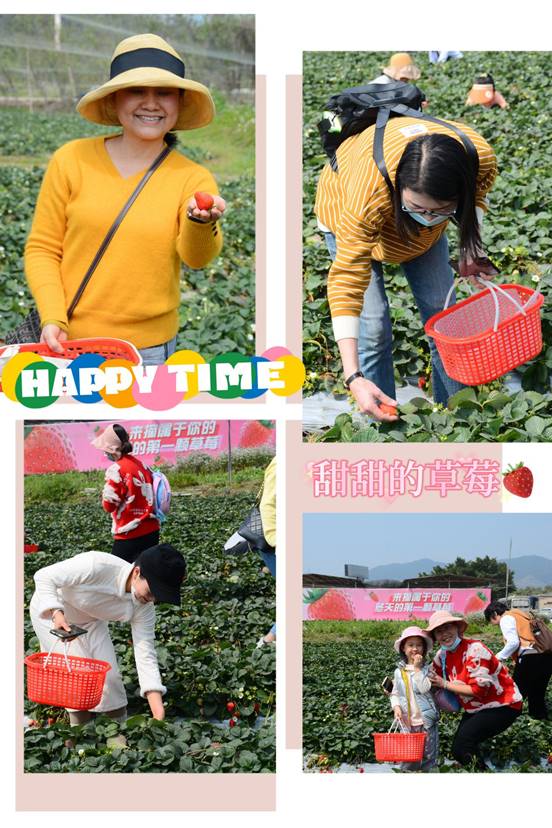 摘草莓