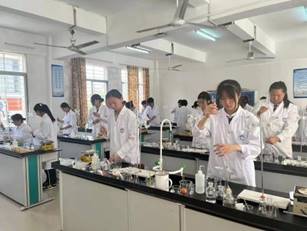 \"IMG_261\"